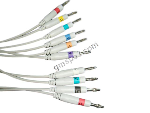 Banca EKG AHA leadwire-.jpg